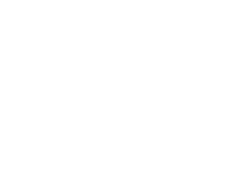 Project W